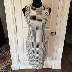 Calvin Klein Black and White Dress
